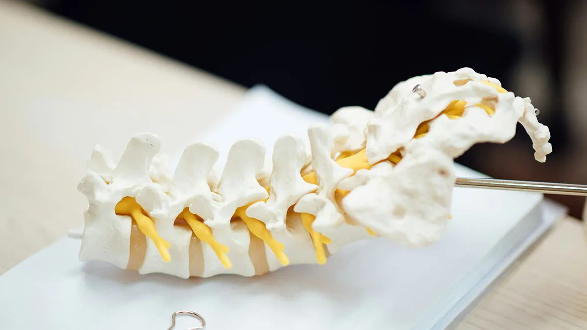 “Lived Like This Until 21”: 50 Times People Found Out Their Bodies Were Different From The ‘Norm’
