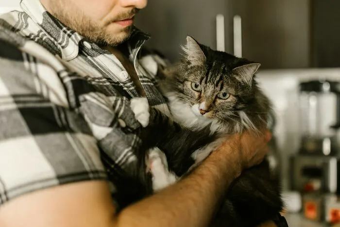 40 Non-Sexual Things A Person Did That Made Them Weirdly Attractive