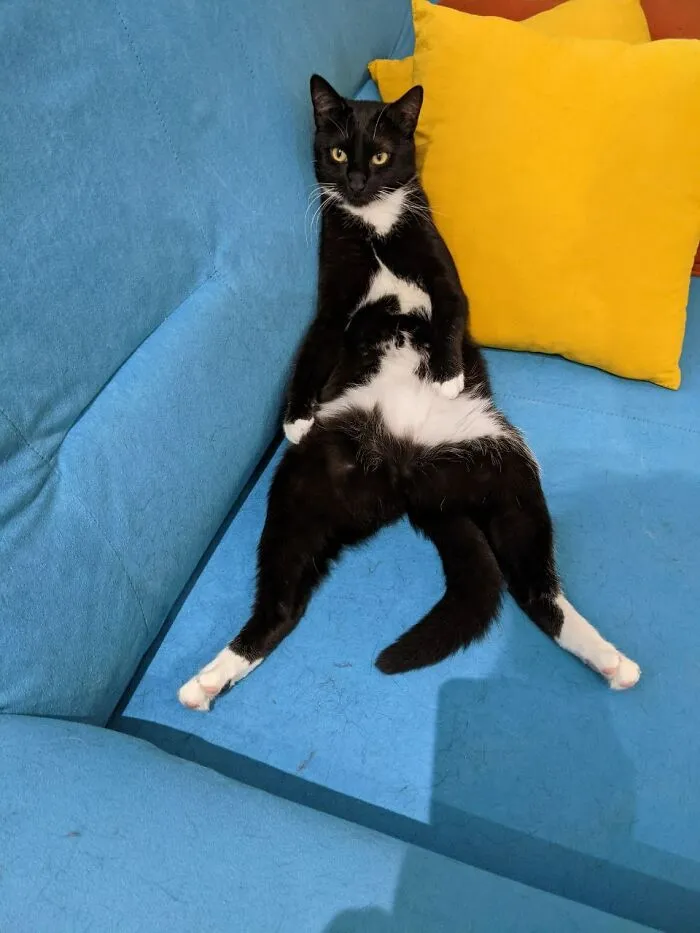 This Is How She Sits And Sleeps