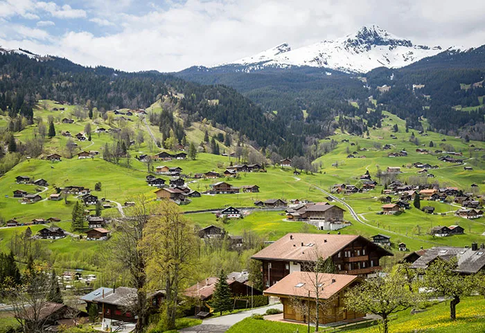 “Commit Some Crimes, Go To Prison”: 40 People Share Where They Would Move To If Given The Chance