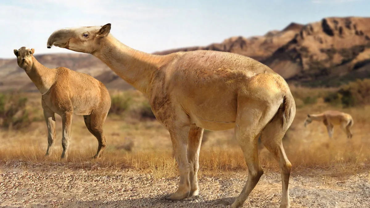 This Paleoartist Recreates Prehistoric Fauna: 12 Ancient Creatures For The 2025 Calendar