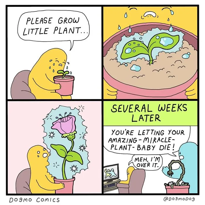 19 Bizarre Comics Infused With Dark Humor And Unexpected Twists By Dogmodog (New Pics)