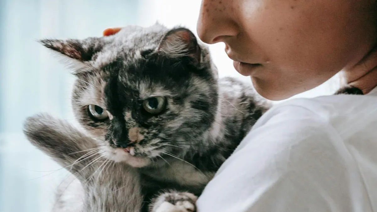 50 Reassuring Facts Not Everyone Might Be Aware Of, According To People Online