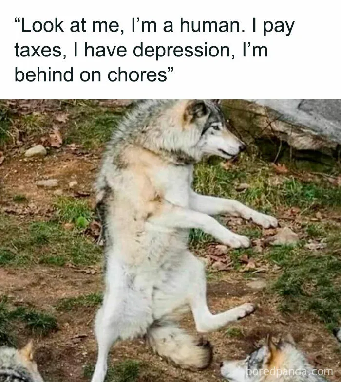 50 Painfully Spot-On Memes That Anyone Above 30 Might Relate To (New Pics)