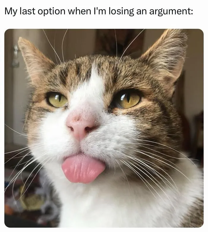 50 Funny Memes For Anyone Who Desperately Needs A Laugh Today