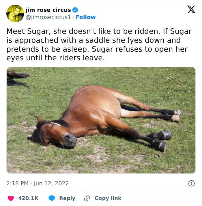 Funny Tweets That Have No Business Being So Spot-On