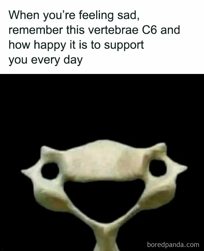 You Don’t Need To Like Science To Enjoy These 50 Memes (New Pics)