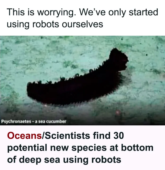 You Don’t Need To Like Science To Enjoy These 50 Memes (New Pics)