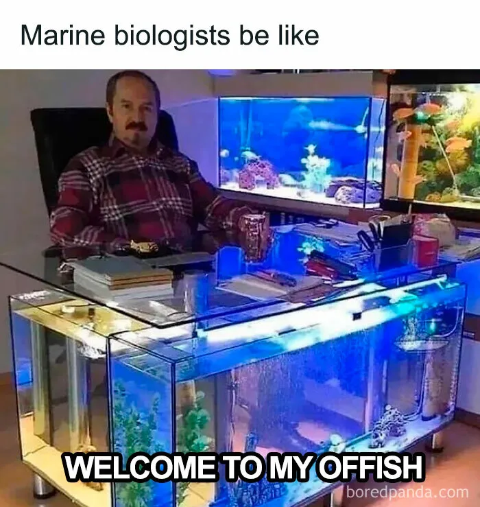 You Don’t Need To Like Science To Enjoy These 50 Memes (New Pics)