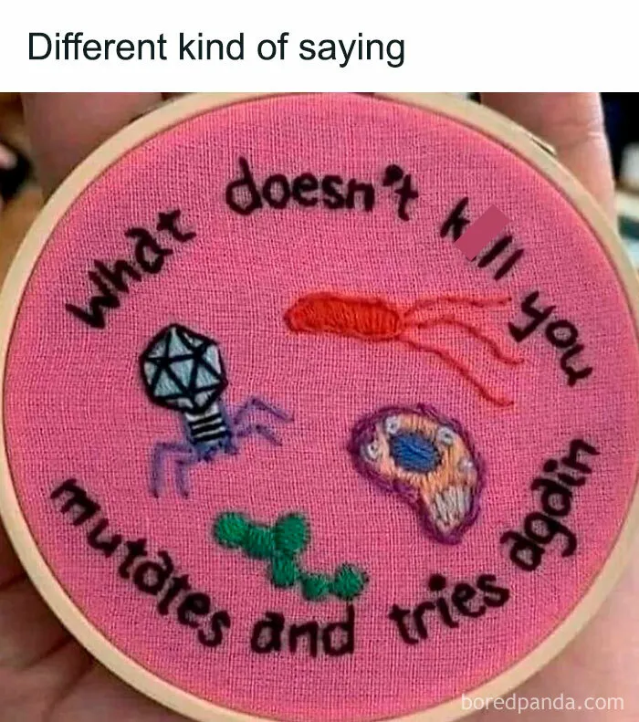 You Don’t Need To Like Science To Enjoy These 50 Memes (New Pics)