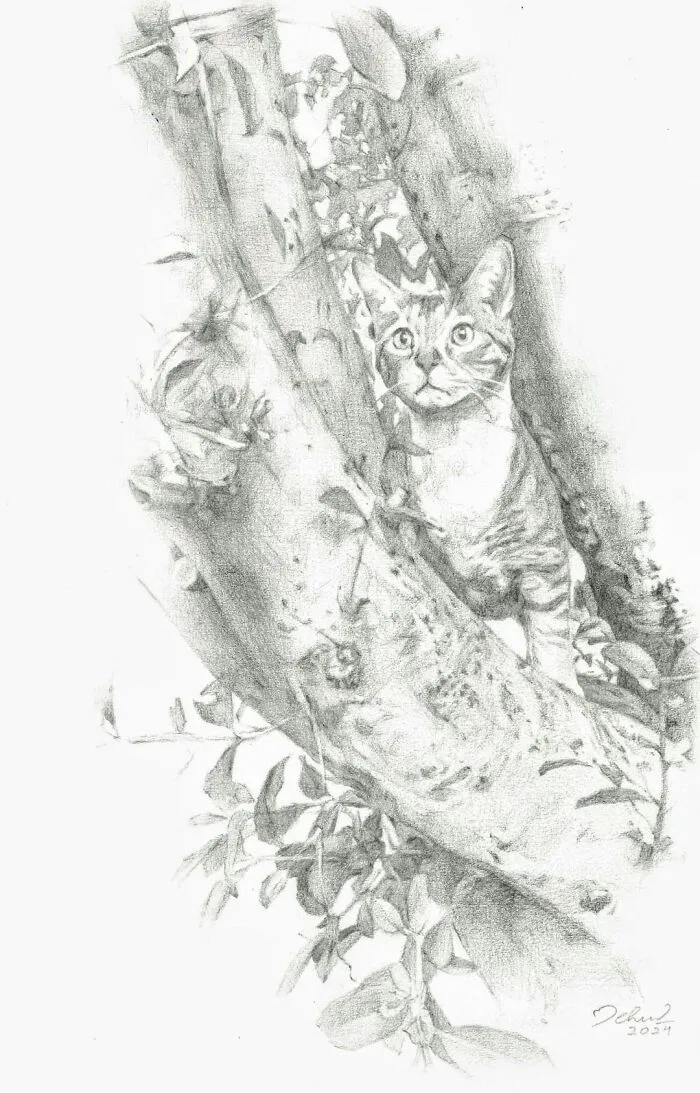 A Pencil Sketch I Recently Did For A Client From USA