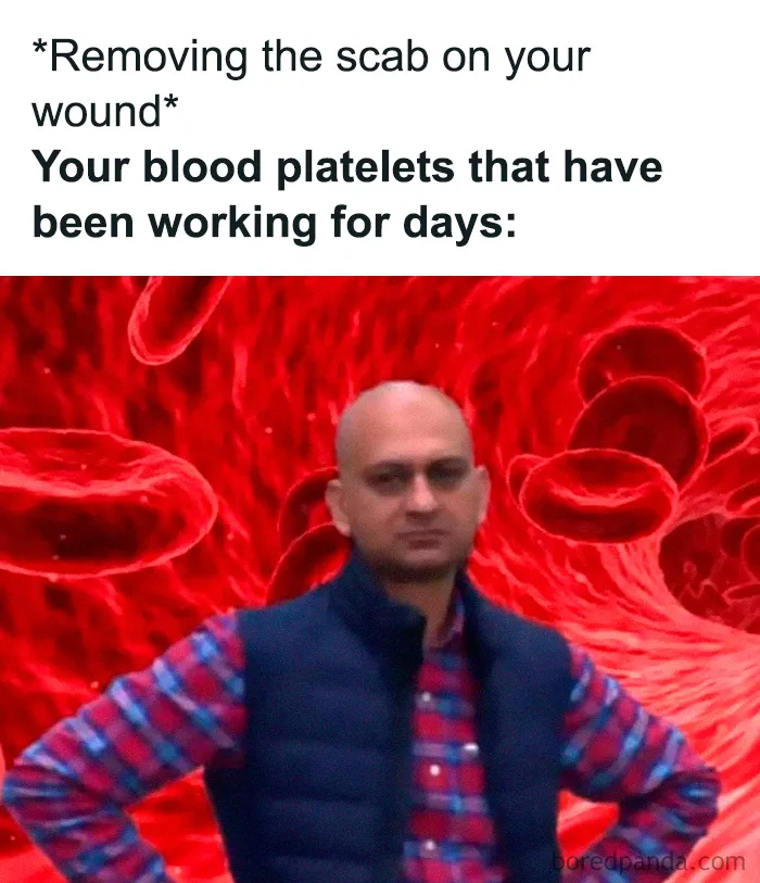 35 Scientifically Proven Memes For Those With An Intellectual Sense Of Humor