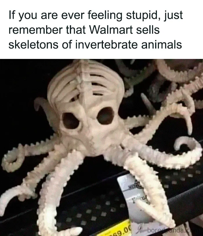 35 Scientifically Proven Memes For Those With An Intellectual Sense Of Humor