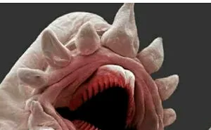 35 Scientifically Proven Memes For Those With An Intellectual Sense Of Humor