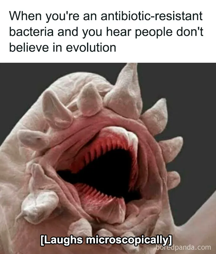 Funny-Intellectual-Science-Memes