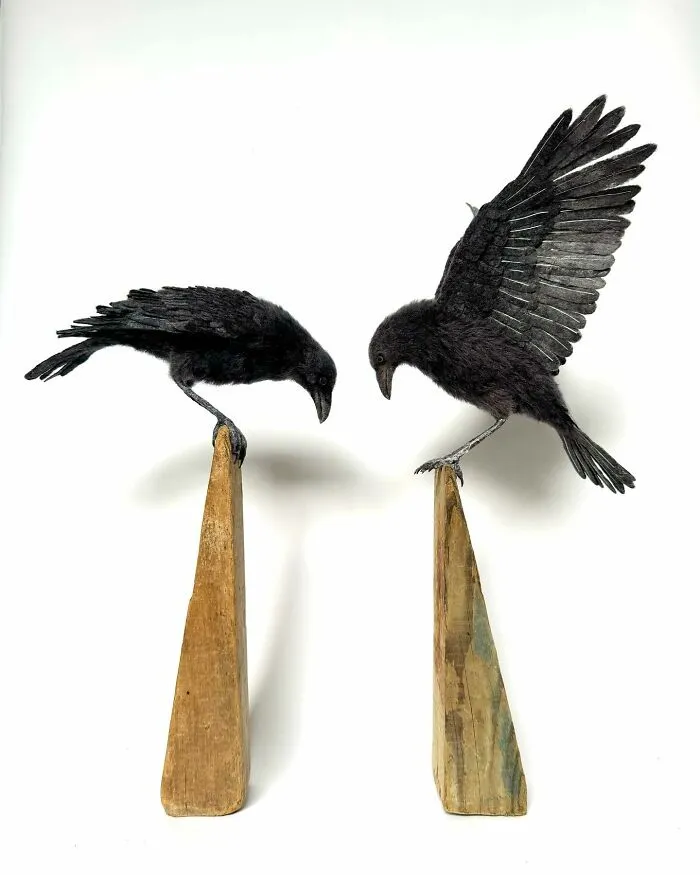 From A Playful Dog To A Wise Owl, This Artist's Needle-Felted Animals Might Make Your Day (30 Pics)