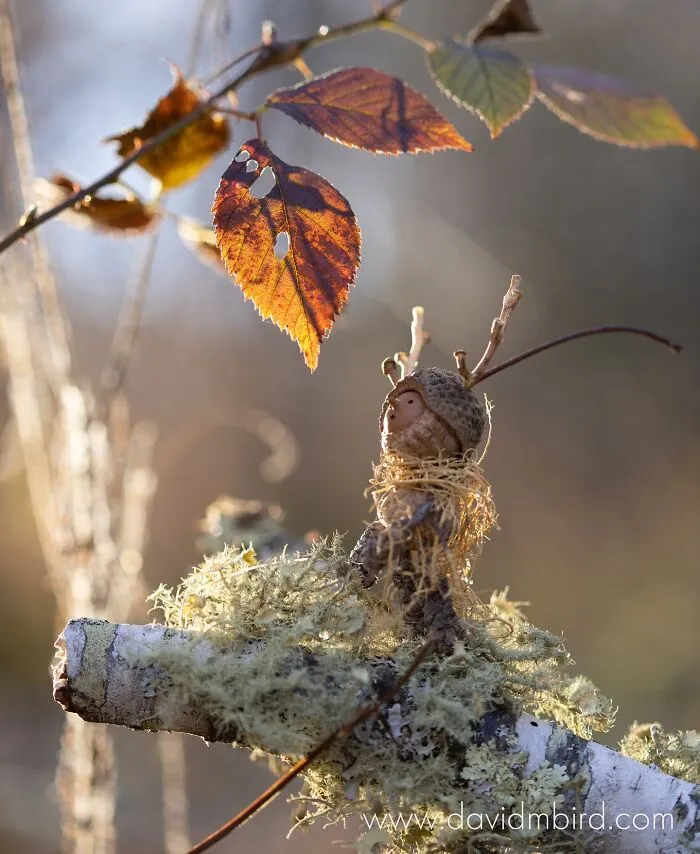 Becorns: This Ex-LEGO Designer Traded Plastic Bricks For Acorns And Sticks (30 Pics)
