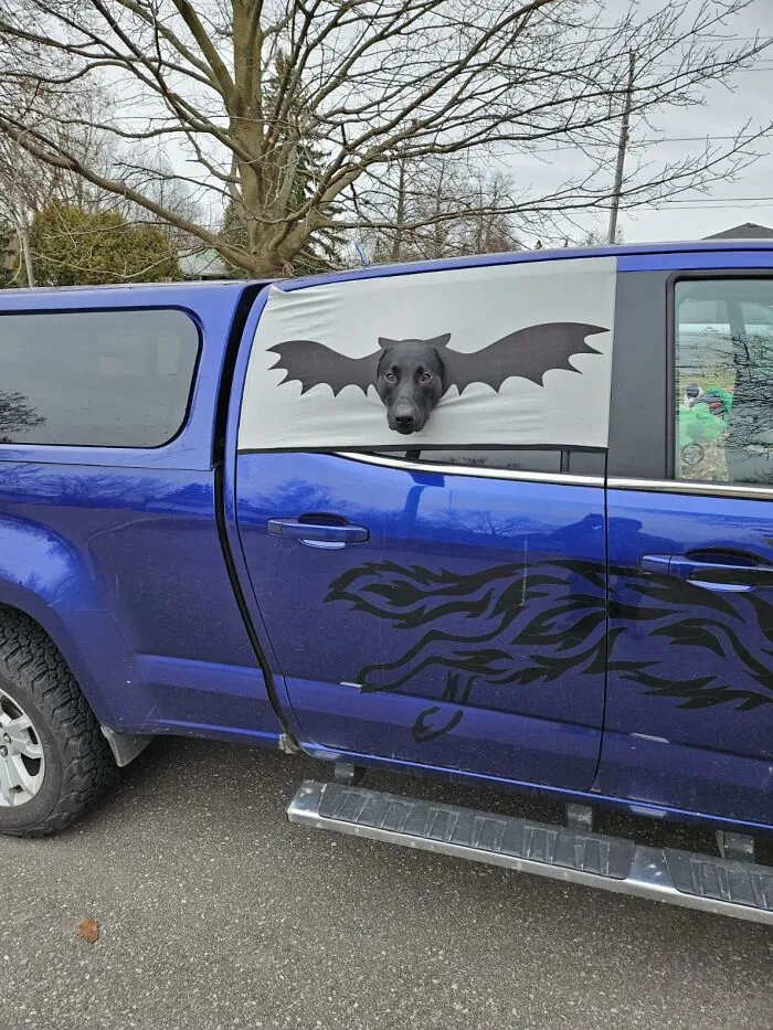 I'm Batman