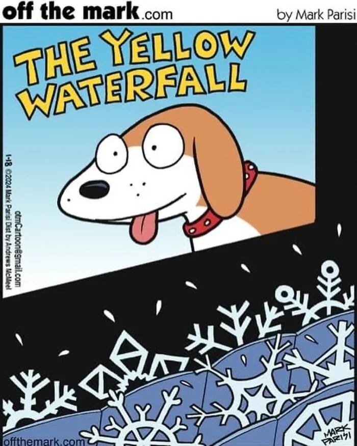 20 Horror Movies From The Perspective Of Animals And Things Illustrated By This Comic Artist (New Pics)