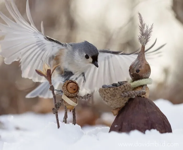 Becorns: This Ex-LEGO Designer Traded Plastic Bricks For Acorns And Sticks (30 Pics)