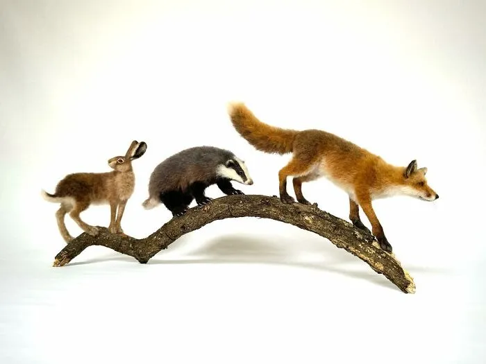 From A Playful Dog To A Wise Owl, This Artist's Needle-Felted Animals Might Make Your Day (30 Pics)