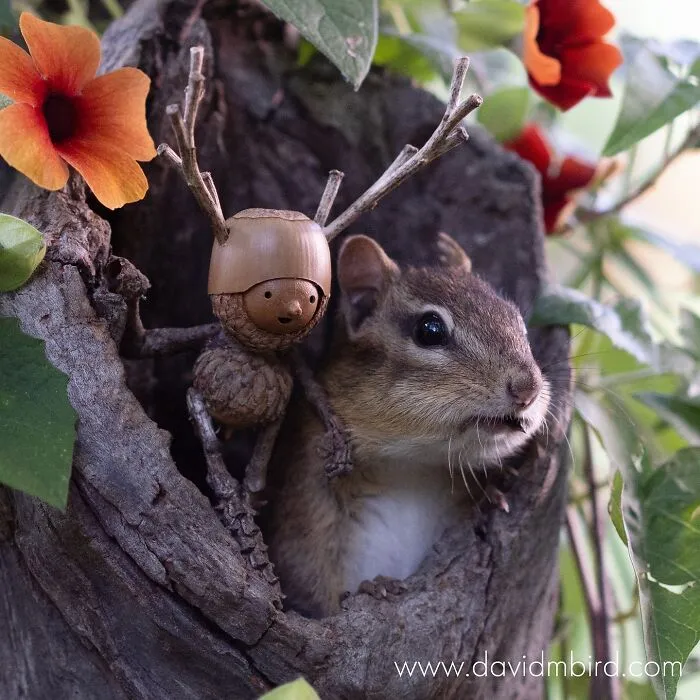 Becorns: This Ex-LEGO Designer Traded Plastic Bricks For Acorns And Sticks (30 Pics)
