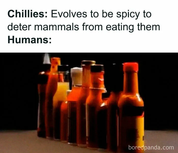 40 Of The Funniest Memes That Explain History Better Than Textbooks