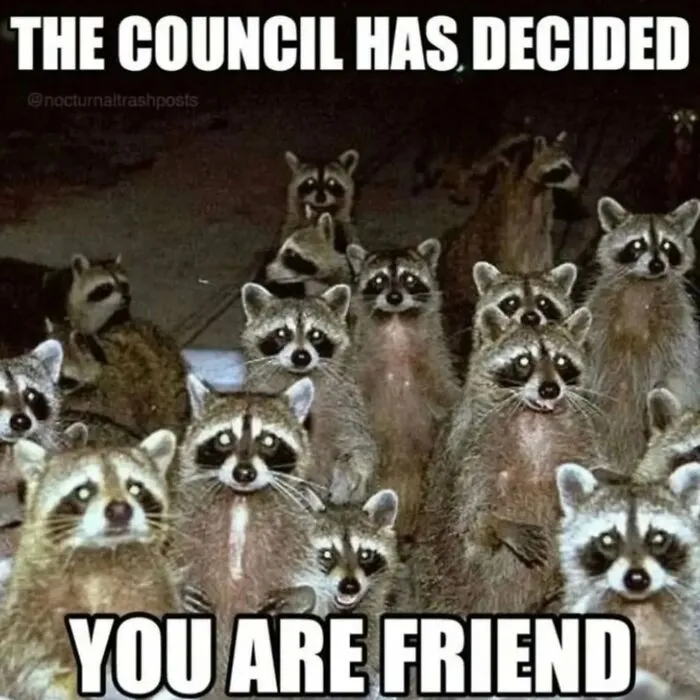 Folks Can’t Stop Giggling At These Random Pics Of Raccoons Enjoying Their Lives (35 Images)
