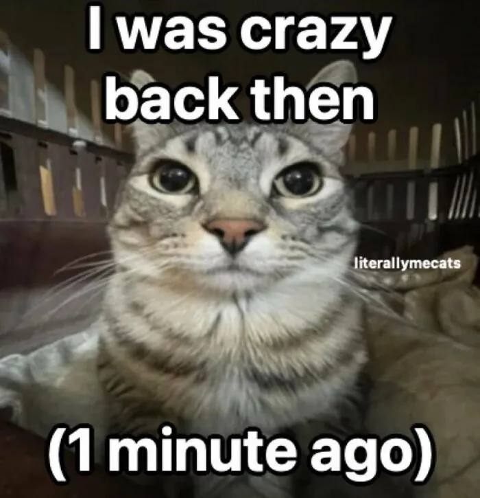 “Surviving On Caffeine And Rage”: 39 Funny Cat Memes That Are Instantly Relatable