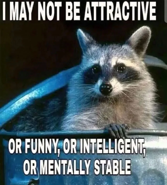 Folks Can’t Stop Giggling At These Random Pics Of Raccoons Enjoying Their Lives (35 Images)