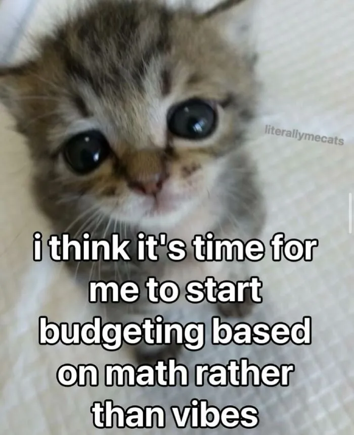 “Surviving On Caffeine And Rage”: 39 Funny Cat Memes That Are Instantly Relatable