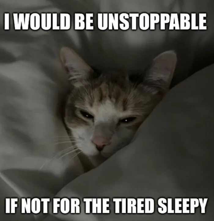 “Surviving On Caffeine And Rage”: 39 Funny Cat Memes That Are Instantly Relatable