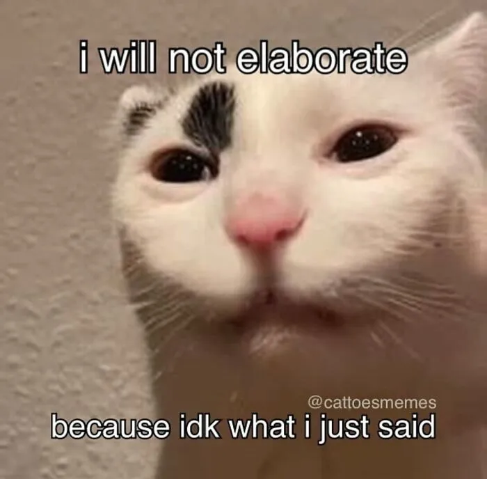 “Surviving On Caffeine And Rage”: 39 Funny Cat Memes That Are Instantly Relatable