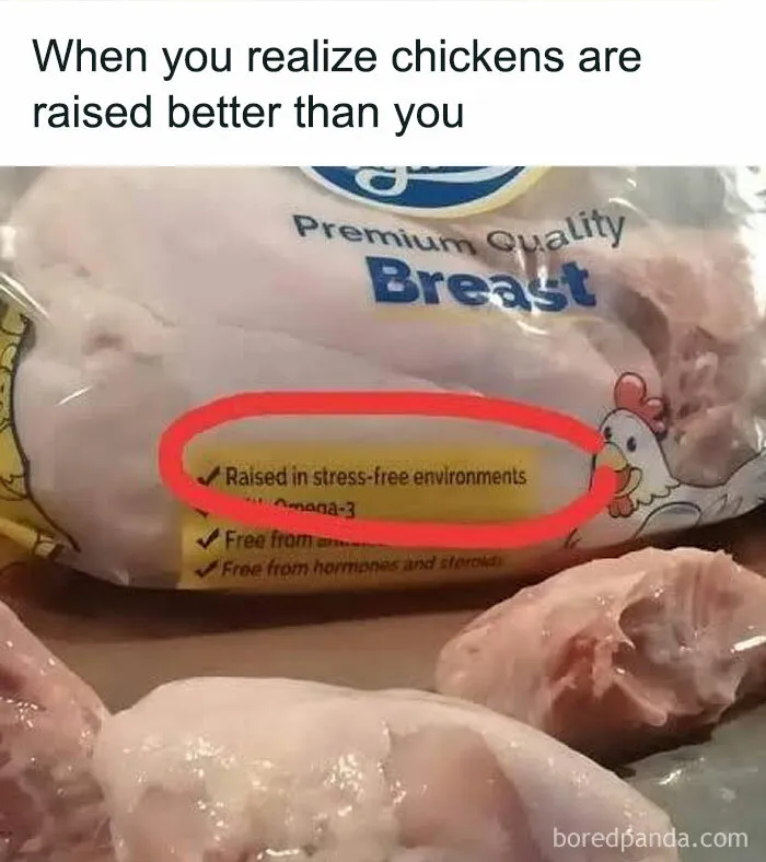 1.7M People Are Crying Laughing At The Memes From This Page, So Here Are The 49 Best