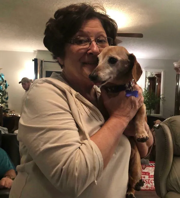 Dog Is Sunny. He Was With His Previous Owner Who Kept Him In Cage All Day, Got Tired And Was About To Put Him Down At 6 Months. But My Mother-In-Law Adopted Him. Sunny Turned 16 This Year And Is The Goodest Boy Ever