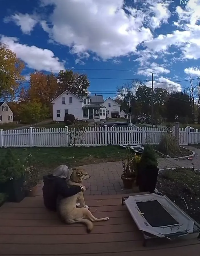My Door Bell Camera Alert Came On And I Saw My MIL With My Dog