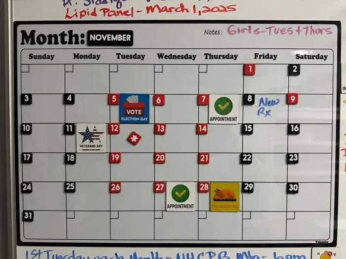 Stay Organized And Never Miss A Beat With A <a Style="Display:inline;" Href="Https://Www.amazon.com/Fridge-Calendar-Magnetic-Calendar-Whiteboard-Refrigerator-Planners/Dp/B07fw3b53j?ie=utf8&linkcode=ll1&tag=bpflamingo-20&linkid=535b2d15b64bc3683c1144b3cfbcf6f1&language=en_us&ref_=as_li_ss_tl" Target="_blank"><span Style="Font: Inherit; Color: #d74b1f;"> Magnetic Dry-Erase Calendar</Span>. It Keeps All Your Important Dates And Tasks In One Place, Ensuring You Stay On Top Of Everything. No More Forgotten Appointments— Just A Perfectly Planned Month!