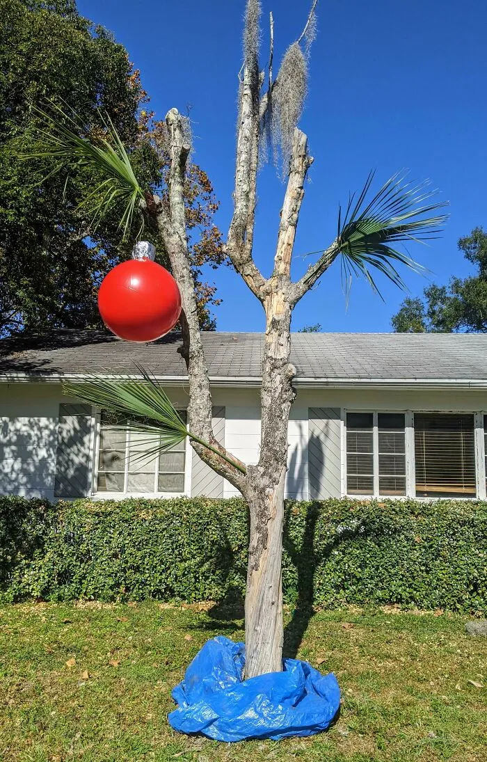 We Turned The Dead Dogwood Tree In Our Front Yard Into A Charlie Brown Christmas Tree