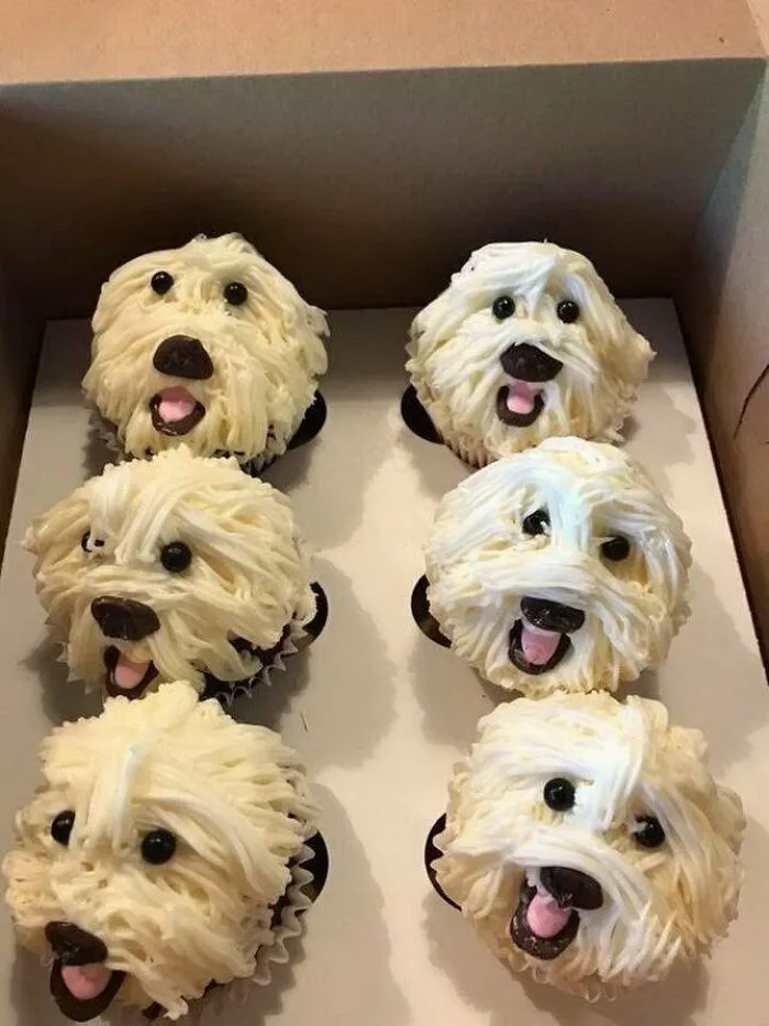 Doggie Cupcakes