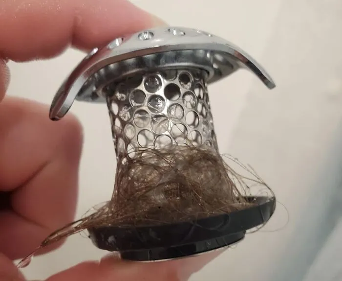 Keep Your Tub Drain Clear And Your Bathroom Fresh With The <a Style="Display:inline;" Href="Https://Www.amazon.com/Tubshroom-Revolutionary-Protector-Strainer-Stainless/Dp/B07pb6zx9y?ie=utf8&linkcode=ll1&tag=bpflamingo-20&linkid=2f4a6664a629161415ec4cc70292a1a8&language=en_us&ref_=as_li_ss_tl" Target="_blank"><span Style="Font: Inherit; Color: #d74b1f;"> Tubshroom Hair Catcher</Span>. It Traps Hair And Debris, Preventing Clogs And Making Cleanup A Breeze