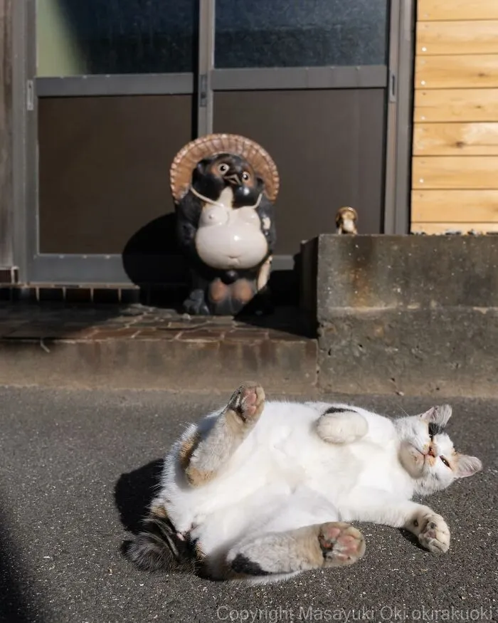 Estas 41 fotos de Masayuki Oki nos cuentan cómo es la vida de los gatos callejeros de Tokio