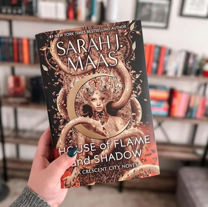 Dive Into The Magical World Of <a Style="Display:inline;" Href="Https://Www.amazon.com/House-Flame-Shadow-Sarah-Maas/Dp/1526628236?ie=utf8&linkcode=ll1&tag=bpgecko-20&linkid=4703e994744c00f4032340f26d10300a&language=en_us&ref_=as_li_ss_tl" Target="_blank"><span Style="Font: Inherit; Color: #d74b1f;"> House Of Flame And Shadow</Span>. This Captivating Novel Is A Must-Have For Any Fan Of Fantasy And Romance. It’s The Perfect Gift To Transport Your Loved One To A Realm Of Enchantment And Adventure. Because Who Doesn’t Love A Little Magic In Their Christmas?