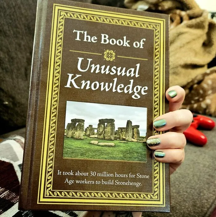 Spark Curiosity And Conversation With <a Style="Display:inline;" Href="Https://Www.amazon.com/Unusual-Knowledge-Editors-Publications-International/Dp/1450845800?ie=utf8&linkcode=ll1&tag=bpgecko-20&linkid=5a4c9c2ba7d3fe080a3d3b2d39dd69c8&language=en_us&ref_=as_li_ss_tl" Target="_blank"><span Style="Font: Inherit; Color: #d74b1f;"> The Book Of Unusual Knowledge</Span>. Packed With Fascinating Facts And Intriguing Trivia, It’s The Perfect Gift For Anyone Who Loves To Learn Something New Every Day. Because Who Doesn’t Want To Be The Smartest Person At The Holiday Party? It’s A Treasure Trove Of Knowledge Wrapped In A Bow!
