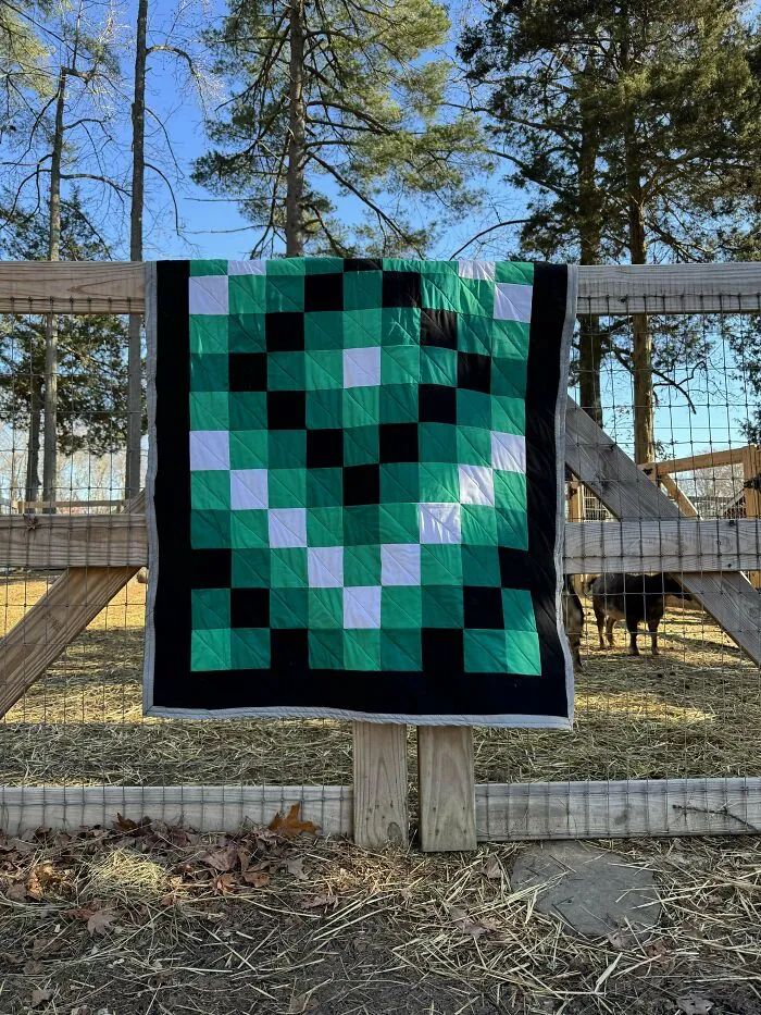 My Son’s Christmas Present That I Made