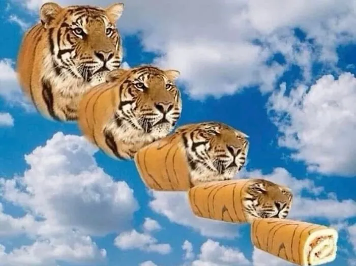 This Insta Page Shares Pics With Zero Context, Here Are 40 Of The Funniest And Weirdest Ones (New Pics)