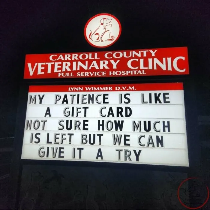 No Fleas, Just Jokes: 40 Signs That Had Tails Wagging (New Pics)