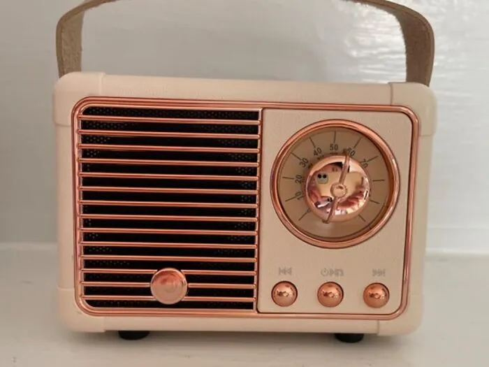 Tiny But Mighty, The <a Style="Display:inline;" Href="Https://Www.amazon.com/Baolira-Vintage-Bluetooth-Wireless-Portable/Dp/B097ndlv1l?ie=utf8&th=1&linkcode=ll1&tag=bpaxolotl-20&linkid=8922a9d17c89ce6e148186577f7963d4&language=en_us&ref_=as_li_ss_tl" Target="_blank"><span Style="Font: Inherit; Color: #d74b1f;"> Mini Retro Bluetooth Speaker</Span> Is The Perfect Party Starter. Its Retro Vibes And Mighty Sound Will Get The Party Started And Keep It Going All Night Long!
