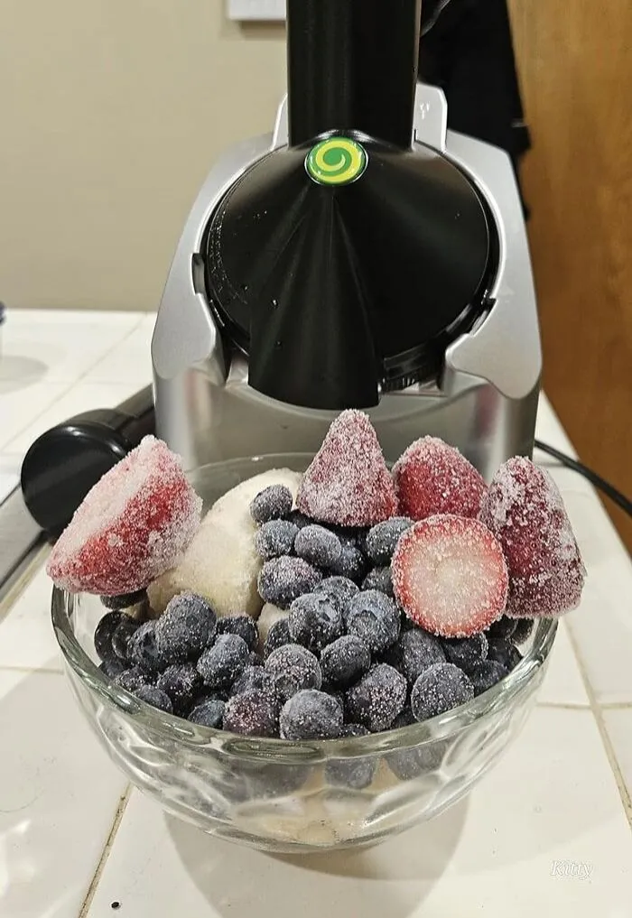 Dairy-Free Frozen Fruit Soft Serve Maker: For Quickly Whipped Up Delicious Treats Minus The Fats, Sugars, Or Preservatives— A Must-Have For Those Who Love Variety In Their Healthy, Homemade Desserts!