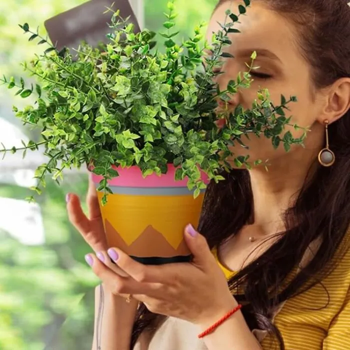 Get Ready To "Draw" Some Smiles With These Adorable <a Style="Display:inline;" Href="Https://Www.amazon.com/Teacher-Succulent-Flower-Painted-Terracotta/Dp/B0d5gmpqk5?crid=3pz995bp5d6kn&dib=eyj2ijoimsj9.9ypdindisyo6vjur054eglpjfwjrgpilgbvge3hgqy86knzsiixx0ofx0g74fna4d96dfkhimg20lefmx7hulbaqwgwg10iupezwry5lk-Irt5fiefncm443eb27zsq1dtmmxpws1j750lk5xhebmsihwoyiiccqfzq9eqsnfeoieikeua-Bi1ps5hhslkwufhu6qkgeg5ftrroi1thku3dqp8mqo8ykxelk-Cokoes7nmdf_ixmeqstdlxl_udlzlmv6kcj8b-Jcllu7lrwxesgrwtbv1qohnvy0s-Diea.do831wofghhlii0zl_sppfw6dhoavpg94lkare_6fjo&dib_tag=se&keywords=pencil+terracotta+pot&qid=1733232578&sprefix=pencil+teracotta+pot%2caps%2c210&sr=8-2&linkcode=ll1&tag=bpcoyote-20&linkid=5c422392e258bf5bb5187a06e8e07bc5&language=en_us&ref_=as_li_ss_tl" Target="_blank"><span Style="Font: Inherit; Color: #d74b1f;"> Planters</Span>! Painted With A Pencil Motif, They're The Perfect Way To Bring Some Creativity To Your Teacher's Desk - And A Reminder That They're Always "Drawing" Inspiration From Their Students