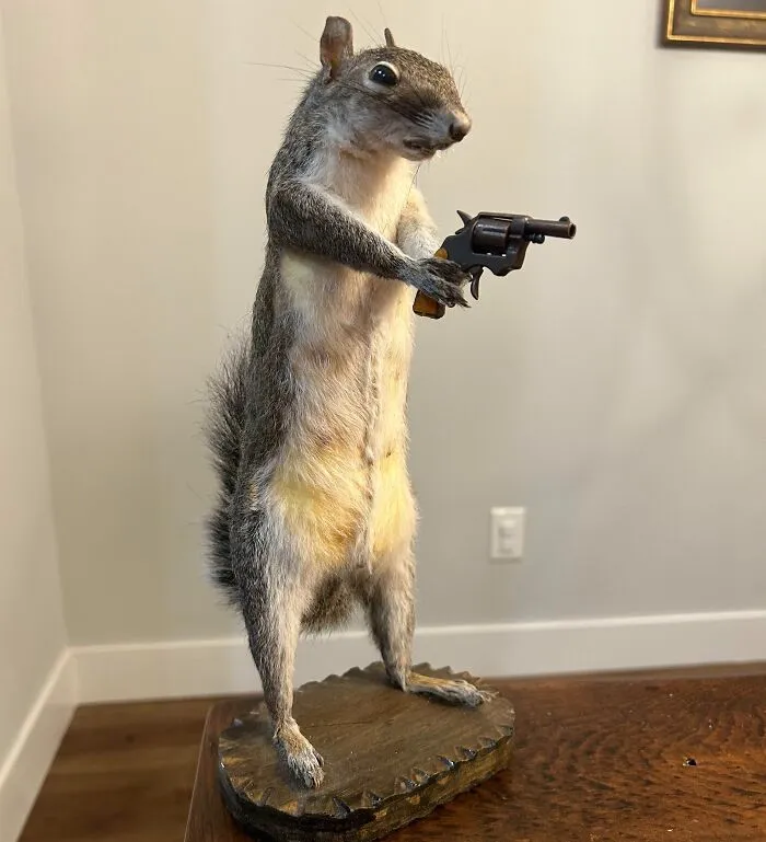 A Gift I Received For My Birthday. I Have So Many Questions